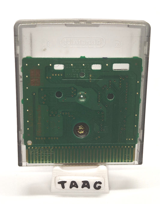 International Karate 2000 Game Boy Color