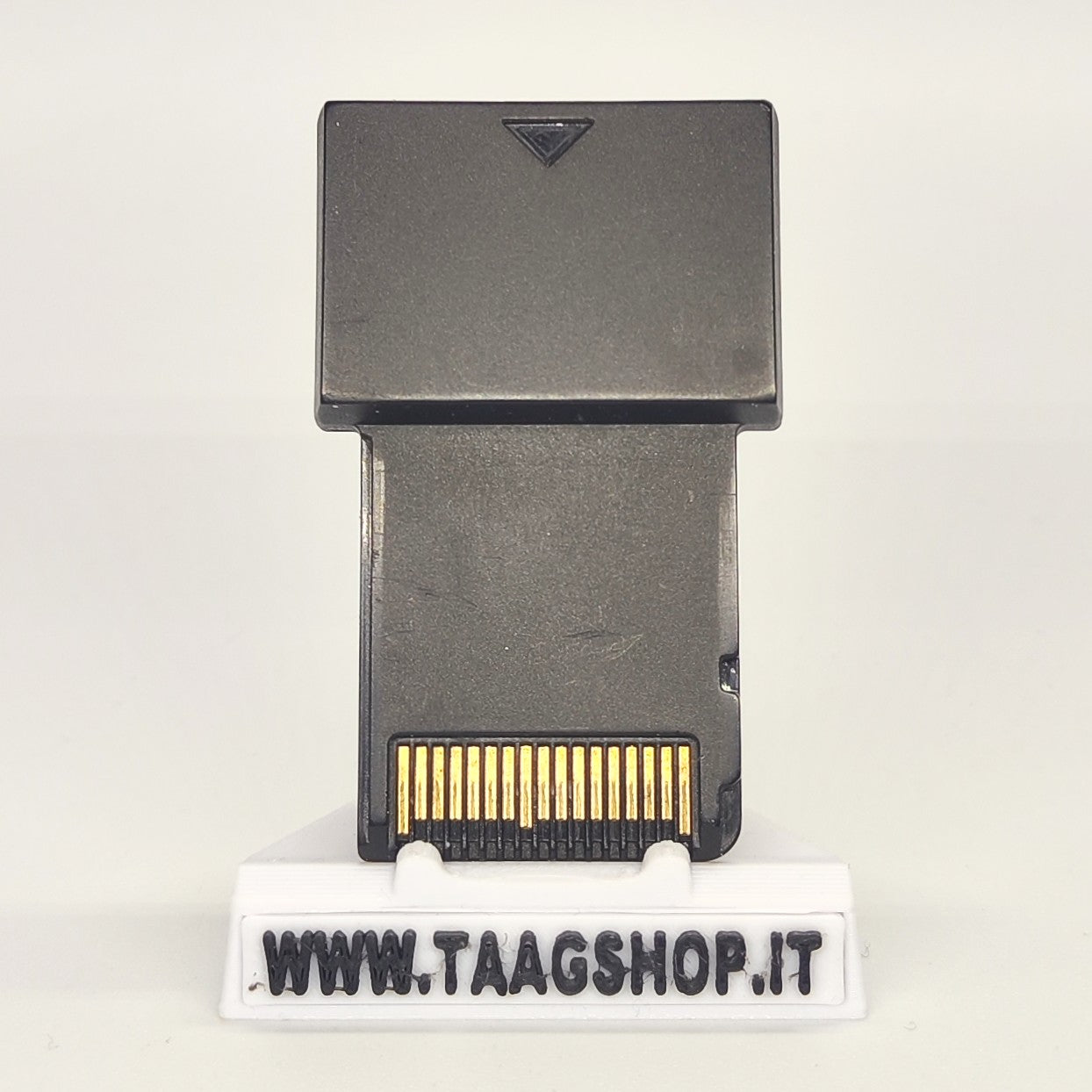 Ds Action Replay compatibile con Nintendo Ds e Ds Lite