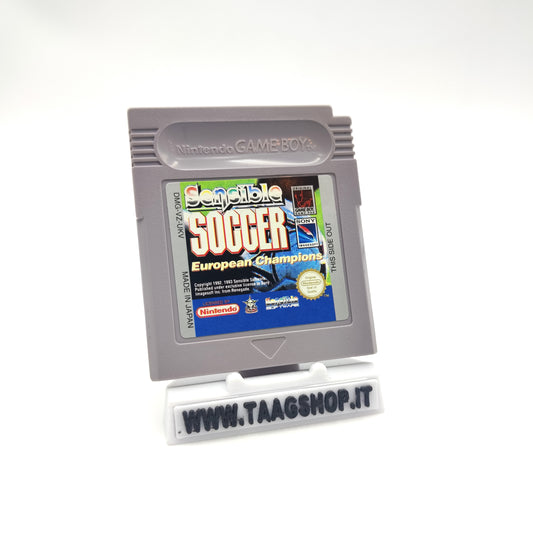 Sensible Soccer European Champions