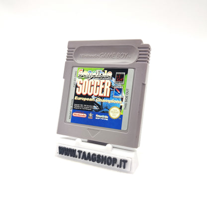 Sensible Soccer European Champions