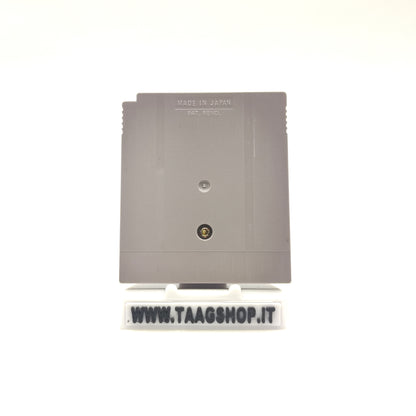 Sensible Soccer European Champions